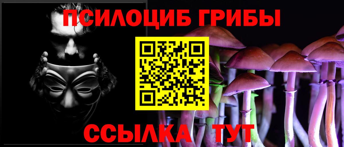 Галлюциногенные грибы Psilocybine cubensis  Галлюциногенные грибы прущие грибы  Вход с VPN  Кумертау 